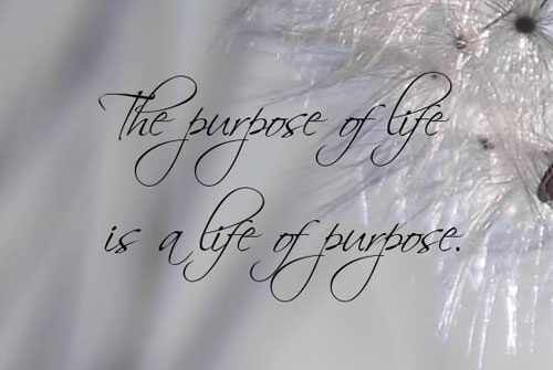 life quotes the purpose of life