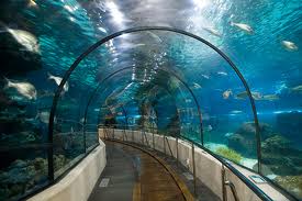 A great place to see the sea world, Barcelona Aquarium