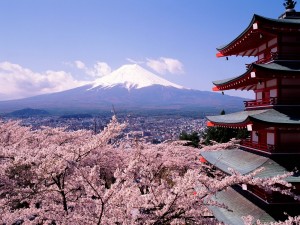 a beautiful landscape with cherry blossom, Japanese tradition
