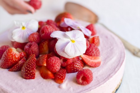 Frozen pink cheesecake