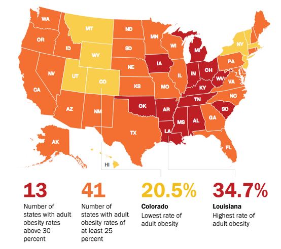 america obesity rate