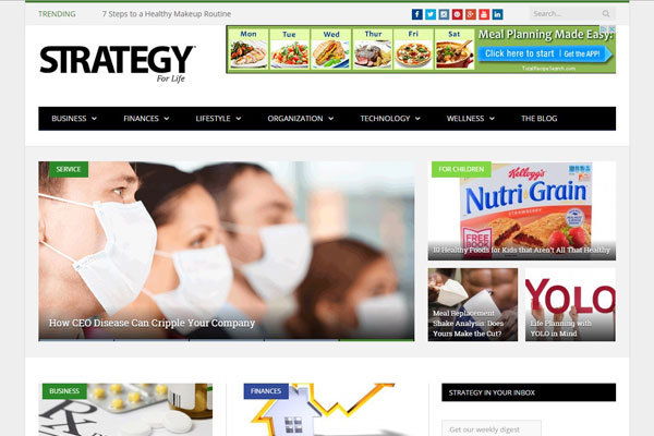 Strategy For Life Business Website