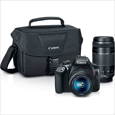 Canon EOS Rebel T6 Digital SLR Camera Kit with EF-S 18-55mm and EF 75-300mm Zoom Lenses 